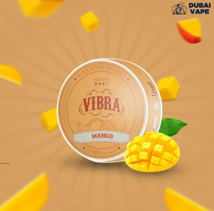 IMG-20240825-WA0004-700x691